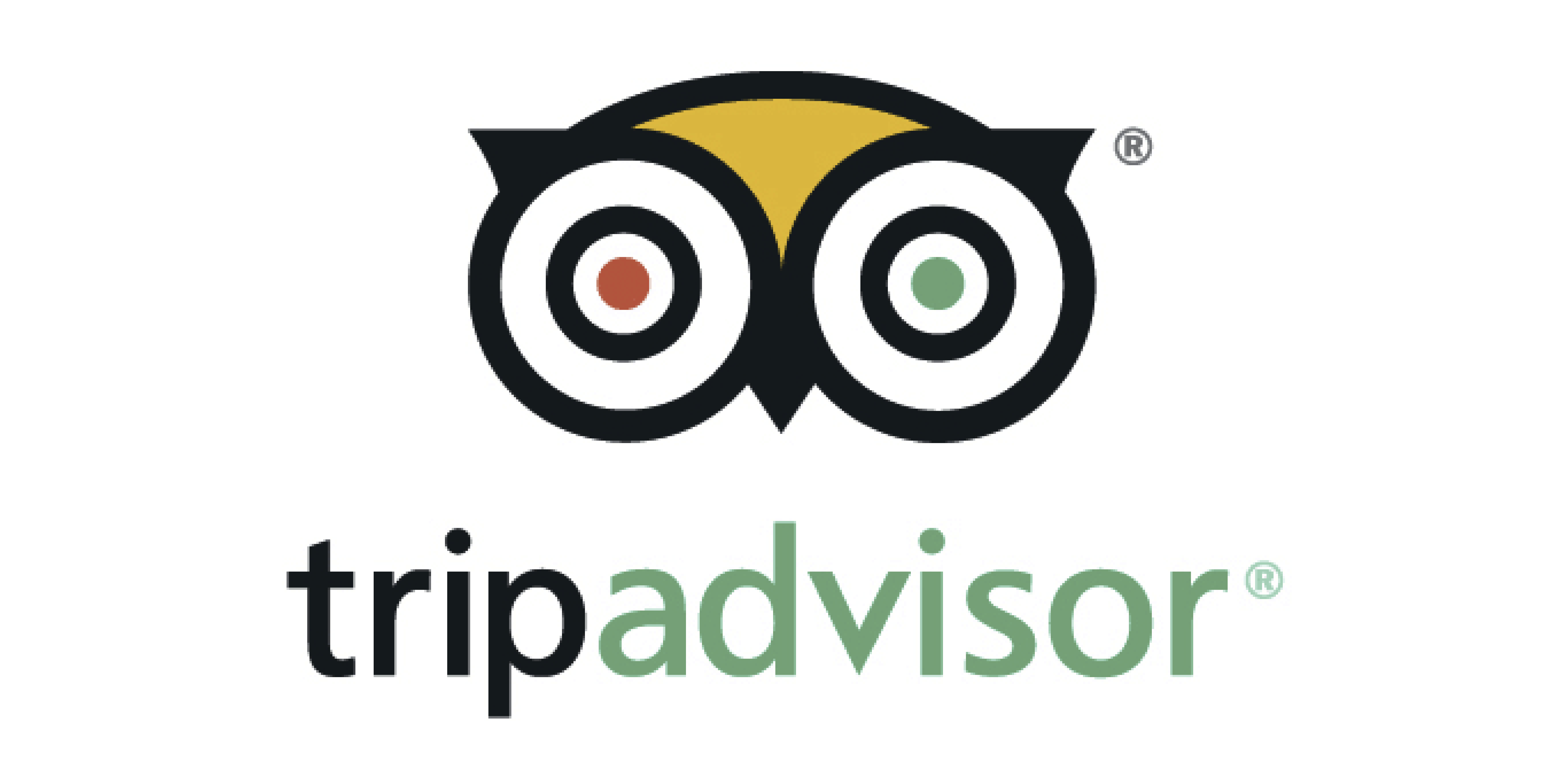 je-donne-mon-avis-sur-tripadvisor