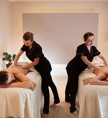Wellness treatment The Ayurvedic